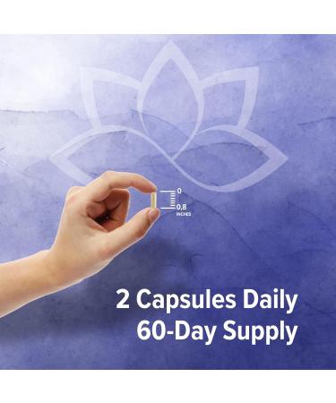 ORZAX 5-HTP 200mg Capsules with L-Tryptophan & Rhodiola - Boost Vitality & Inner Peace - 120 Count - Buy Online on GoSupps.com