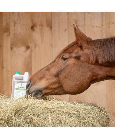 Ewalia Muscle Juice Optimal support for muscle metabolism in horses Natural strength for performance and recovery developed with veterinarians 100% natural without - Buy Online on GoSupps.com