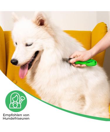 Golden Pets Devilzer Kamm | Dog & Cat Brush for Medium to Long Hair | Perfect for Small to Large Animals | Rounded Tines | Free Nursing Directory Included - Buy Online on GoSupps.com