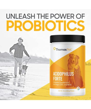 Thomas Labs Acidophilus Forte Digestive Powder 16oz | Probiotic Supplement - Buy Online on GoSupps.com