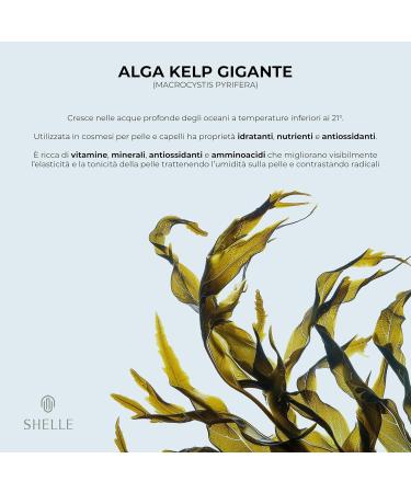 JeunityShelle Cosmeceutical facial mask oxygenozone Transformative Exclusive Regenerating Oxygenrich Detoxifying Sublime Miraculous Refreshing Revitalizing 50 ml - Buy Online on GoSupps.com