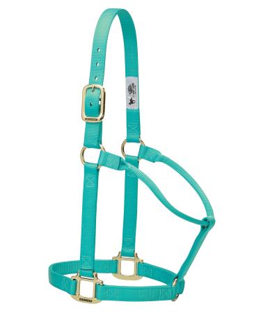 WEAVER Leather Non-adjustable Halter Mint Yearling