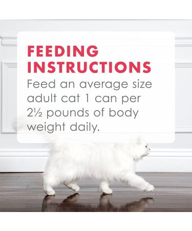 Purina Fancy Feast Gravy Wet Cat Food Variety Pack - Poultry & Beef Grilled Collection | 24 x 3oz Cans - Buy Online on GoSupps.com