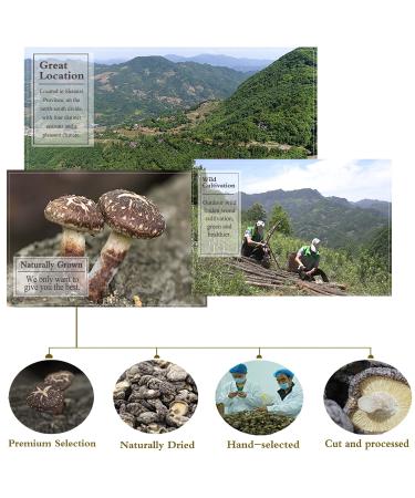 Dried Shiitake Mushrooms 16 Oz (500g) - Quick Rehydration Soft Texture Fresh Tasting Mushroom Snack | Ideal Holiday Gifts - Buy Online on GoSupps.com