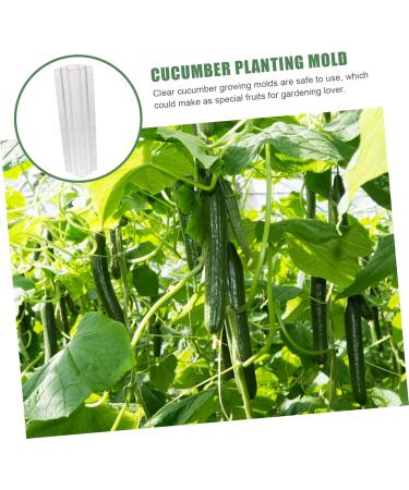 Toddmomy Garden Fruit Mould 4 Pcs Vegetable Shaping Mold Vegetables Vegetable Shaper Mold Cucumber Growth Molds Accessories - Buy Online on GoSupps.com