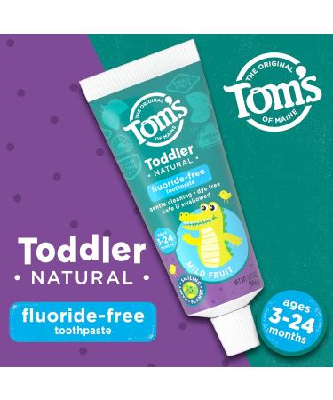 Tom's of Maine Fluoride-Free Toddler Training Toothpaste 1.75 oz. 3-Pack - Mild Fruit Flavor - Packaging May Vary - Buy Online on GoSupps.com