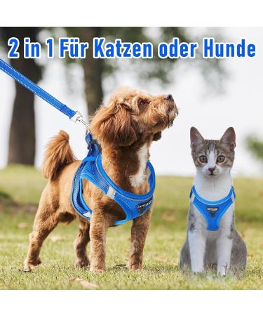 UVTQSSP Dog Harness for Small Dogs with Leash | Padded Puppy Harness in Dark Blue - Comfortable & Durable - Buy Online on GoSupps.com
