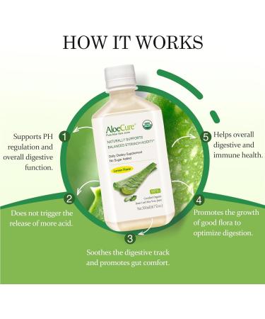 AloeCure Organic Aloe Vera Juice - 2 Bottle Sample Pack - Lemon and Grape Flavor - 2x500ml - Buy Online on GoSupps.com