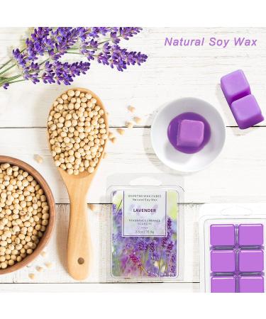 La Bellefe Lavender Scented Wax Melts - Natural Soy Wax Cubes for Warmers - Gift Set for Birthdays, Weddings, Parties, Spa & Meditation (2.5oz/70.9g*2) - Buy Online on GoSupps.com