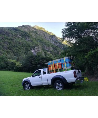 IO APE - Organic acacia honey 500g - Italian honey from the Como region - Buy Online on GoSupps.com