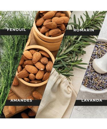 Sweet Almond Oil Rosemary Lavender and Fennel 5L + Refillable Bottle 500 ml | Professional Massage Oil | Body Oil - Buy Online on GoSupps.com