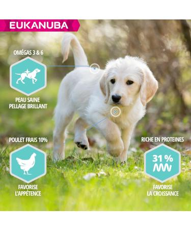 EUKANUBA Dog Daily Care Puppy Sensitive Digestion 2.3KG - Buy Online on GoSupps.com