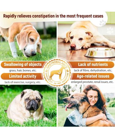 GastroBalance Constipation Relief for Dogs - 60 Soft Chews | 100% Natural Laxative for Dogs - Fast Shipping Worldwide - Buy Online on GoSupps.com