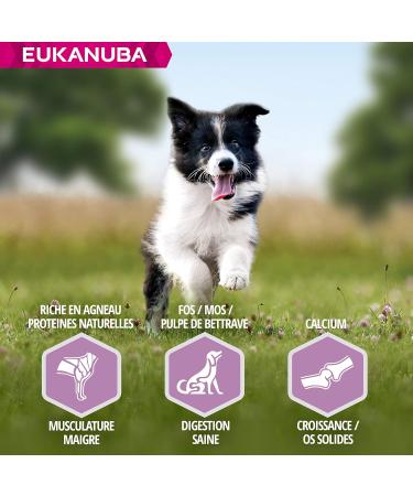 Eukanuba Puppy & Junior Adult Dry Food For Small and Medium Breed Lamb&Rice 2.5kg - Buy Online on GoSupps.com
