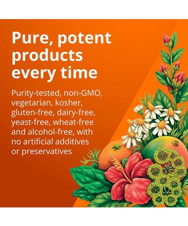 Gaia Herbs Floradix Calcium Magnesium with Vitamin D & Zinc 8.5 fl oz - Support Bone Health - Buy Online on GoSupps.com
