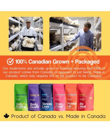 Stay Wyld Organics - Cordyceps Mushroom Capsules 100% Canadian Mushrooms Supplements for Energy Immunity & Vitality Organic Mushroom Supplement - 90 Capsules Pouch - Buy Online on GoSupps.com