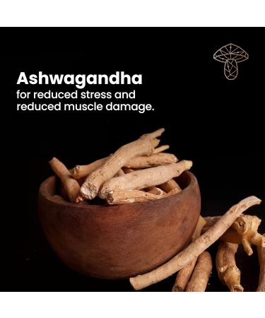 Energy Mushroom Supplement - Cordyceps Ashwagandha & Guarana | 3X More Mushrooms for Energy & Stamina | 60 Capsules - Buy Online on GoSupps.com
