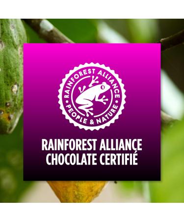 Corny Protein Soft- Milk Chocolate Protein Bars Hazelnuts and Nougat Taste 30% Protein 0% Added Sugars Pack of 12x45g Ta - Buy Online on GoSupps.com