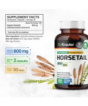 Organic Horsetail Capsules for Hair, Skin & Nails - With Nettle, Green Tea, Ginseng & Ginkgo Biloba - Immune Function & Antioxidant Support - 100 Capsules - Buy Online on GoSupps.com