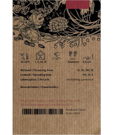  Magic Garden Seeds Thai chili pepper Prik Kee Noo Capsicum frutescens approx 10 seeds - Buy Online on GoSupps.com