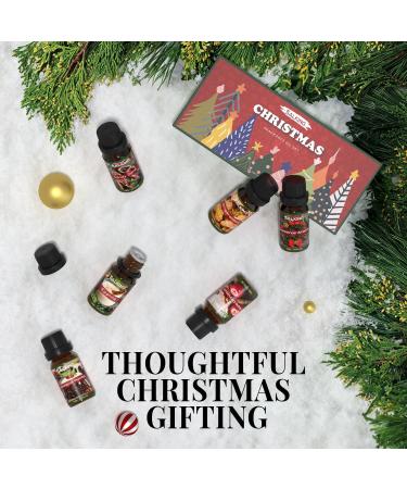 SALKING Christmas Fragrance Oils Gift Set - Perfect Scents for Soaps, Candles, and Diffusers - Buy Online on GoSupps.com