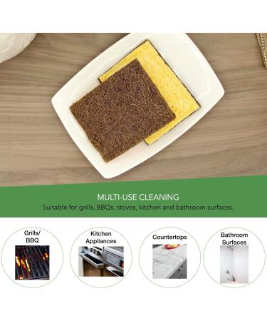 Biodegradable Sponge Coconut Fiber with Cellulose Eco Sponge Natural Sponges for Dishes Sustainable Environmentally Friendly Kitchen Scouring Pad Scratch Free Compostable 4 Pack - Buy Online on GoSupps.com