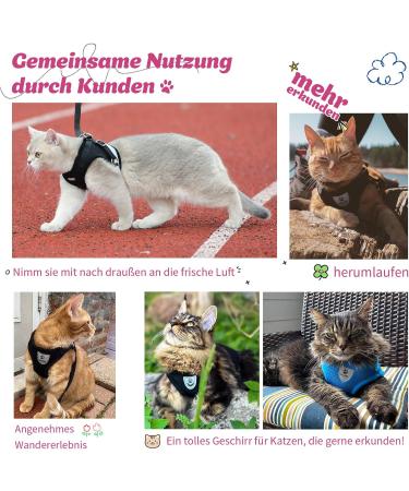 Supet Cat Dishes & Breaking-Safe Leash - Soft Vest for Kittens & Small Dogs (Chihuahua) - Pink Size L (Chest 38-43 cm) - Buy Online on GoSupps.com