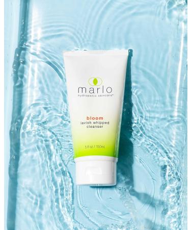 Marlo Bloom Lavish Whipped Cleanser | Clean Beauty | Anti-Aging Facial Cleanser for All Skin Types | 5 oz | Dermatologist Tested - Buy Online on GoSupps.com