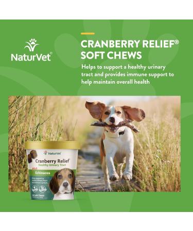 Veterinarian Strength Advanced Probiotics Healthy Enzymes & PB6 Probiotic Supplement & Urinary Health Supplement Soft Chews for Dogs Healthy Bladder & Urinary Tract Support 70 Count (Pack of 1) Probiotic Supplement + Nutritional Assorted - Buy Online on GoSupps.com