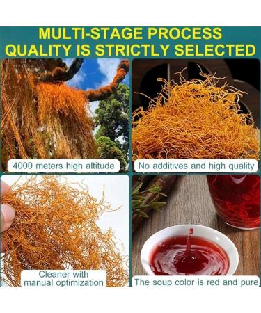 Golden Silk Red Snow Tea Handpicked Tibetan Plateau Red Snow Tea Natural Red Snow Tea 50g/Bag (3 Pcs) - Buy Online on GoSupps.com