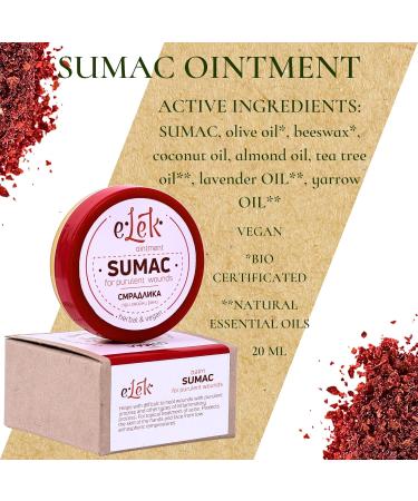ELEK Bio Sumach Ointment 20 ml - Anti Acne and Pimples Skin Care - Protects Skin in Winter - Natural Cream with Beeswax Tea Tree Oil Olive Oil Coconut Oil - Face Cream and Hand Cream - Skincare - Buy Online on GoSupps.com