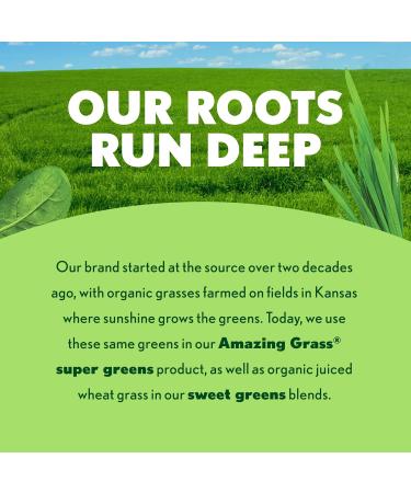Amazing Grass Sweet Greens and Superfoods Powder for Digestive Health Greens Powder Digestive Enzymes Probiotics Spirulina Chlorella Summer Berry 30 Servings Summer Berry 30 Servings (Pack of 1) - Buy Online on GoSupps.com