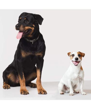 Himalayan Dog Treats Cubits Salmon 3.5 oz - Natural & Healthy Snacks | Himalayan Pet Supply - Buy Online on GoSupps.com