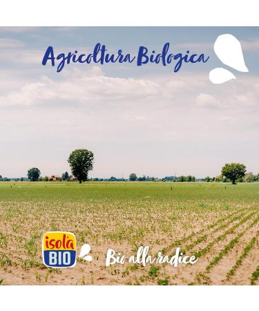 BIOTOBIO srl Isola bio Soya natural Bio case glutenfree sugarfree 6 x 1 l - Buy Online on GoSupps.com