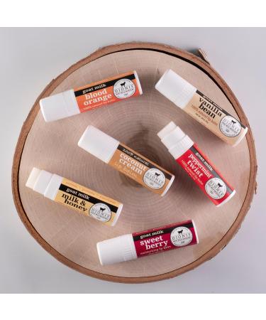 Dionis Goat Milk Lip Balm 6-Pc Ornament Set 0.28oz (Pack of 6) Assorted Flavors - Holiday Edition - Buy Online on GoSupps.com