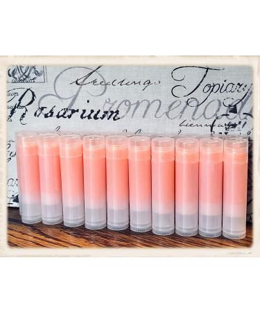 20 PUMPKIN SPICE LATTE Lip Balms in Clear Tubes Unbranded Bulk Wholesale