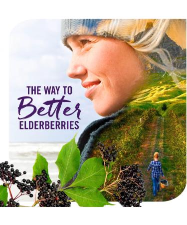 Nature's Way Sambucus Immune* Elderberry Syrup with Echinacea Zinc & Vitamin C 4 Oz (Pack of 2) - Buy Online on GoSupps.com