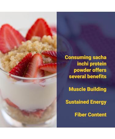 Organic Sacha Inchi Protein Powder - 100% Natural Vegan Gluten-Free 9g Protein Low Carb 9 Essential Amino Acids Omega 3 Rich in Fiber - 8.8 oz - Buy Online on GoSupps.com