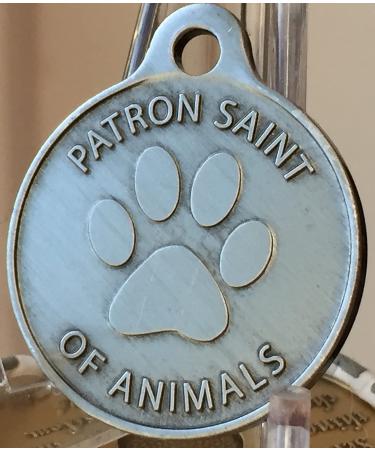 Saint Francis of Assisi Pet Protection Pewter Charm - RecoveryChip for Dogs and Cats - Buy Online on GoSupps.com