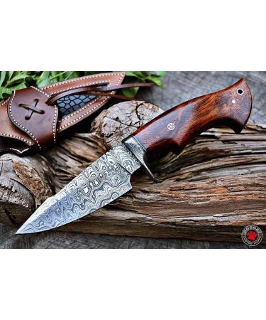BigCat Handmade Damascus Hunting Knife | Bushcraft Knife with Sheath | 10' EDC Survival Knife for Men | Fixed Blade | Walnut Wood Handle