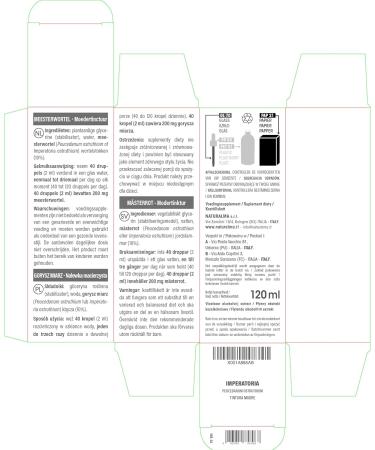 Master Root Rhizomes - Vegan Non-Alcoholic Tincture | 120ml Liquid Extract Dietary Supplement - Buy Online on GoSupps.com
