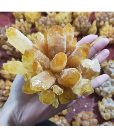 Natural Crystal 700-800g Natural Yellow Ghost Phantom Quartz Crystal Cluster Rock Stones and Crystals Reiki Specimen Home Home Goods - Buy Online on GoSupps.com