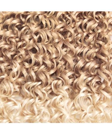 GoGo Curl Crochet Hair 18inch Ombre Deep Wave Synthetic Twist Braid Extensions (6 Packs, 27/613) - Buy Online on GoSupps.com