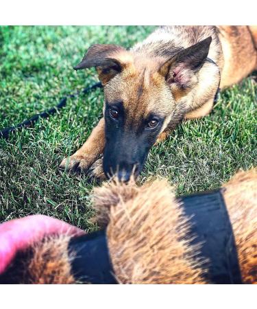 DogBone RealHide Deer Hide Drag for Tracking Dog Training - Buy Online on GoSupps.com