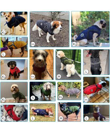 Buy Savlot Dog Jacket - Winter Vest & Sweater for Pets Sleek Cotton Padded Design with Chest Strap - Red Size S (1 Pack) - Buy Online on GoSupps.com
