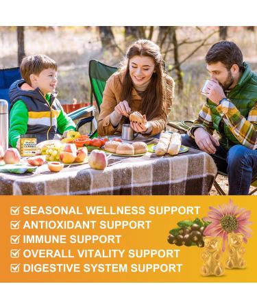 Quercetin Gummies with Bromelain for Adults & Kids - Immune & Seasonal Wellness Support, 800mg Quercetin with Bromelain, Zinc, Elderberry, Vitamin C & D3 - Sugar Free, Vegan, Pineapple Flavor, 60 Ct Pineapple 60 Count (Pack  - Buy Online on GoSupps.com