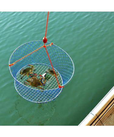 Palmyth Two Ring Crab Net Kit Wire Grid Bottom, Harness, and Bait Clip - 24x20x12 - Buy Online on GoSupps.com