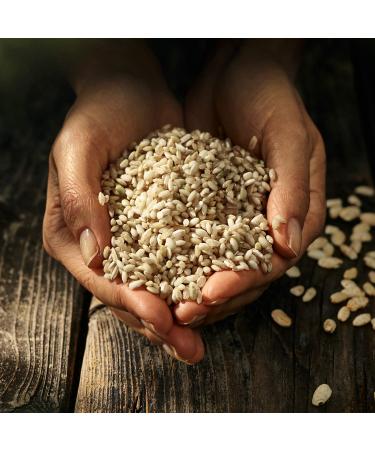 Buy Biozentrale Sea Salt Rice Cakes Vegan Gluten-Free & High in Fiber (12 x 100g) | Healthy Snacks - Buy Online on GoSupps.com