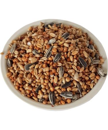 Aime Bird Food - Assorted Seed Mixes & Nutrients for Wild Birds | 1 kg Bag - International Shipping Available - Buy Online on GoSupps.com