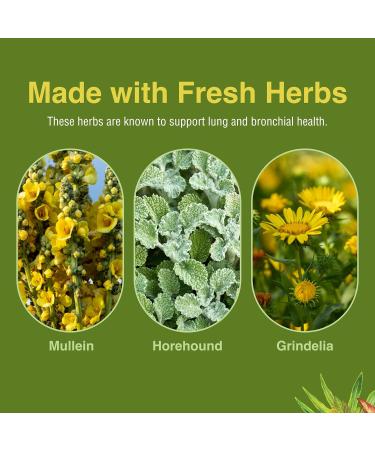 Herbs Etc. ChlorOxygen & Lung Tonic Chlorophyll & Herbal Lung Support for Blood Oxygen Energy Breathing & Bronchial Health with Mullein Horehound & Grindelia 240 Softgels - Buy Online on GoSupps.com